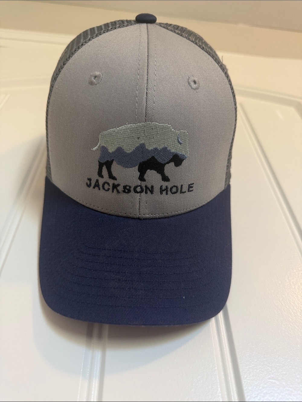 Jackson Hole Trucker Hat - Gray and Navy
